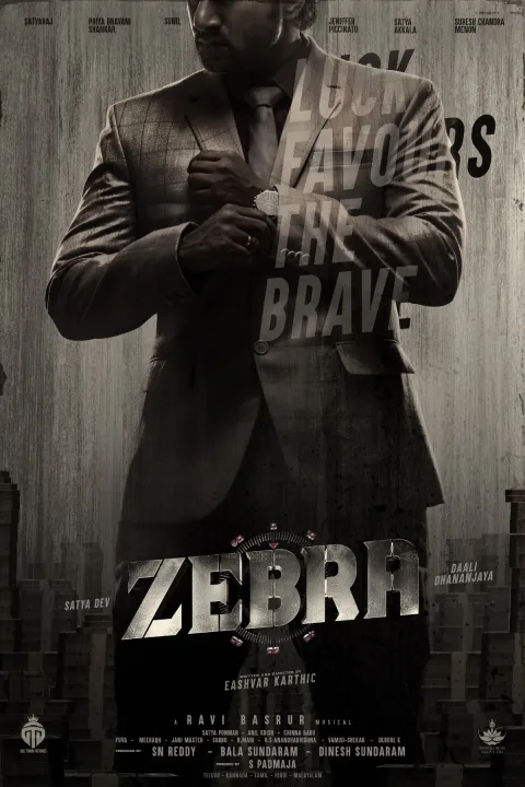 Zebra (2024) poster