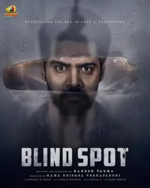 Blind Spot (2025 film) (2025) poster