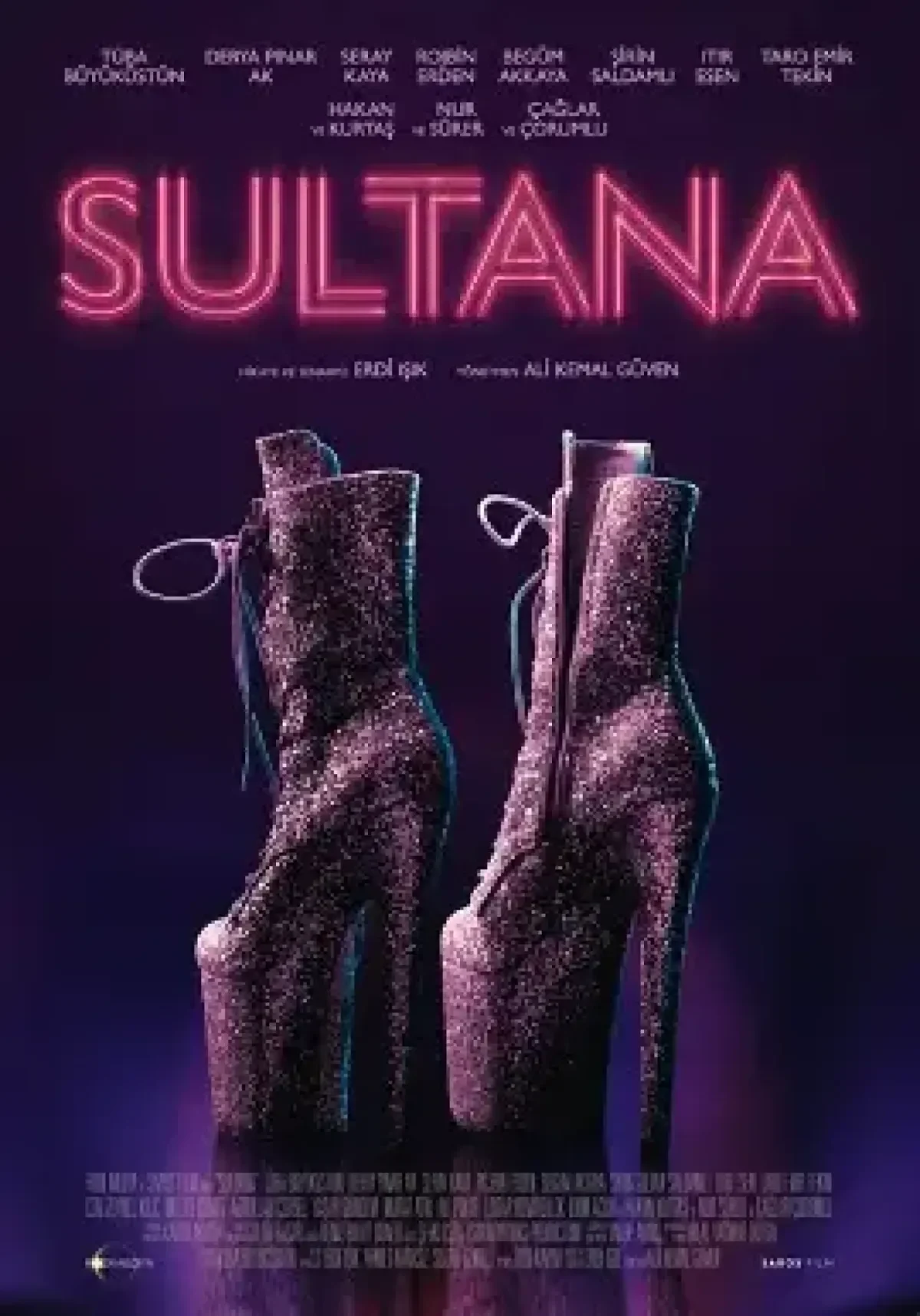 The Great Sultana (2025) poster